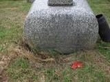 image of grave number 202682